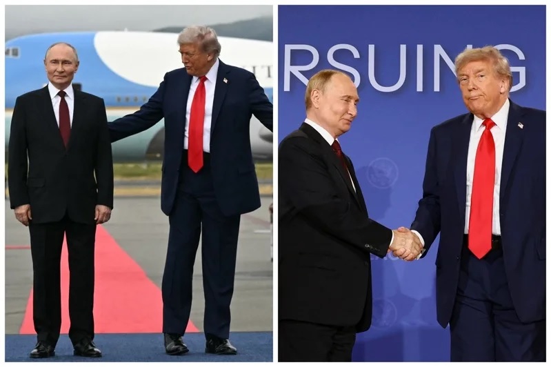 2in1.jpg